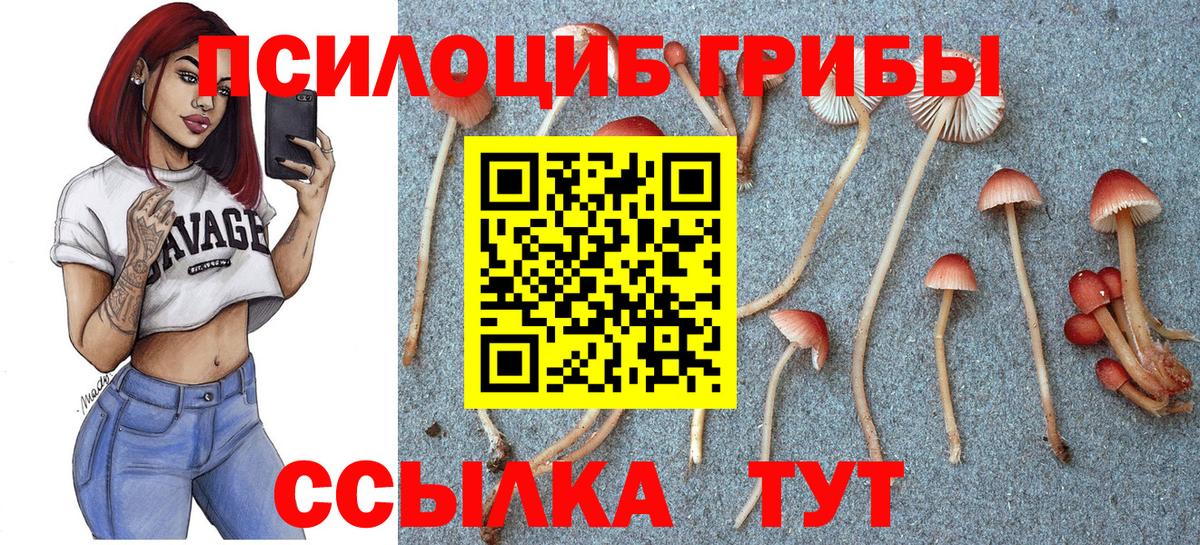 Острогожск  купить наркоту  Вход с VPN  Псилоцибиновые грибы ЛСД 