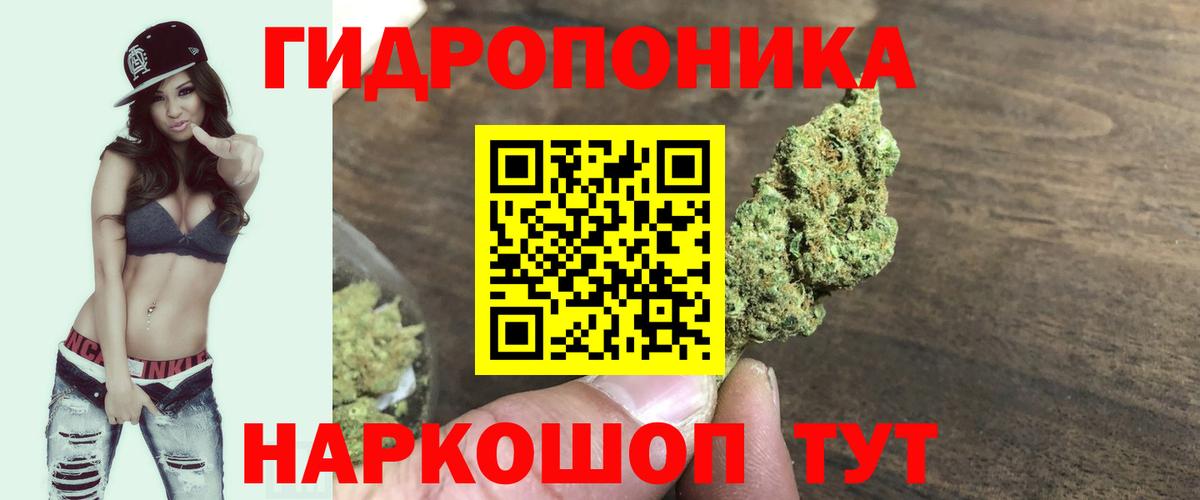 Каннабис план Острогожск